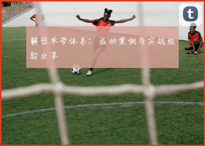 解密单带体系：成功案例与实战经验分享