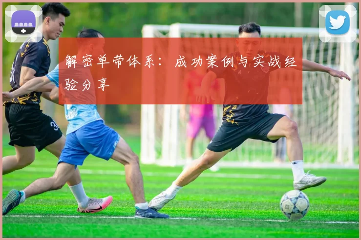 解密单带体系：成功案例与实战经验分享